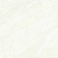 Dhara White Matte 48 x 48